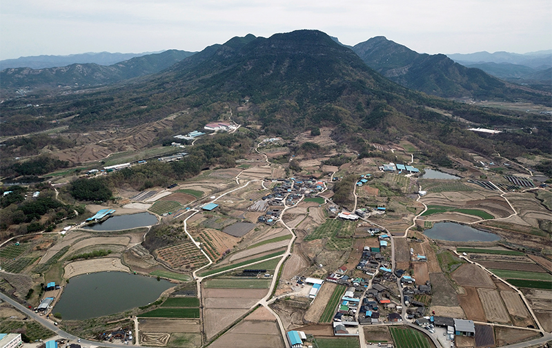 제10호 의성 전통수리