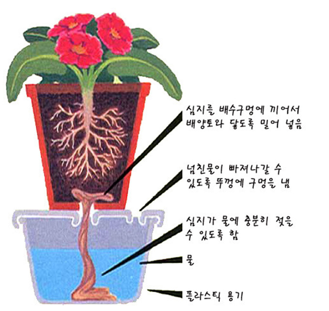 심지를 배수구멍에 끼어서 배양토와 닿도록 밀어 넣음, 넘친 물이 빠져나갈 수 있도록 뚜껑에 구멍을 냄, 심지가 물에 충분히 젖을 수 있도록 함, 물, 플라스틱 용기 