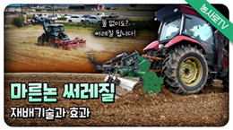 벼 마른논 써레질 재배 기술