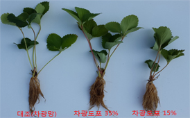 시설온실 내 냉방비 절감 기술3