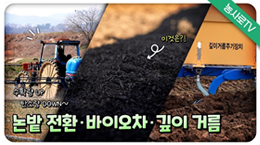 질소비료 사용량 절감 깊이거름주기 기술