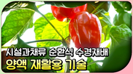 시설과채류 순환식 수경재배 시 배액 재사용, 살균 기술